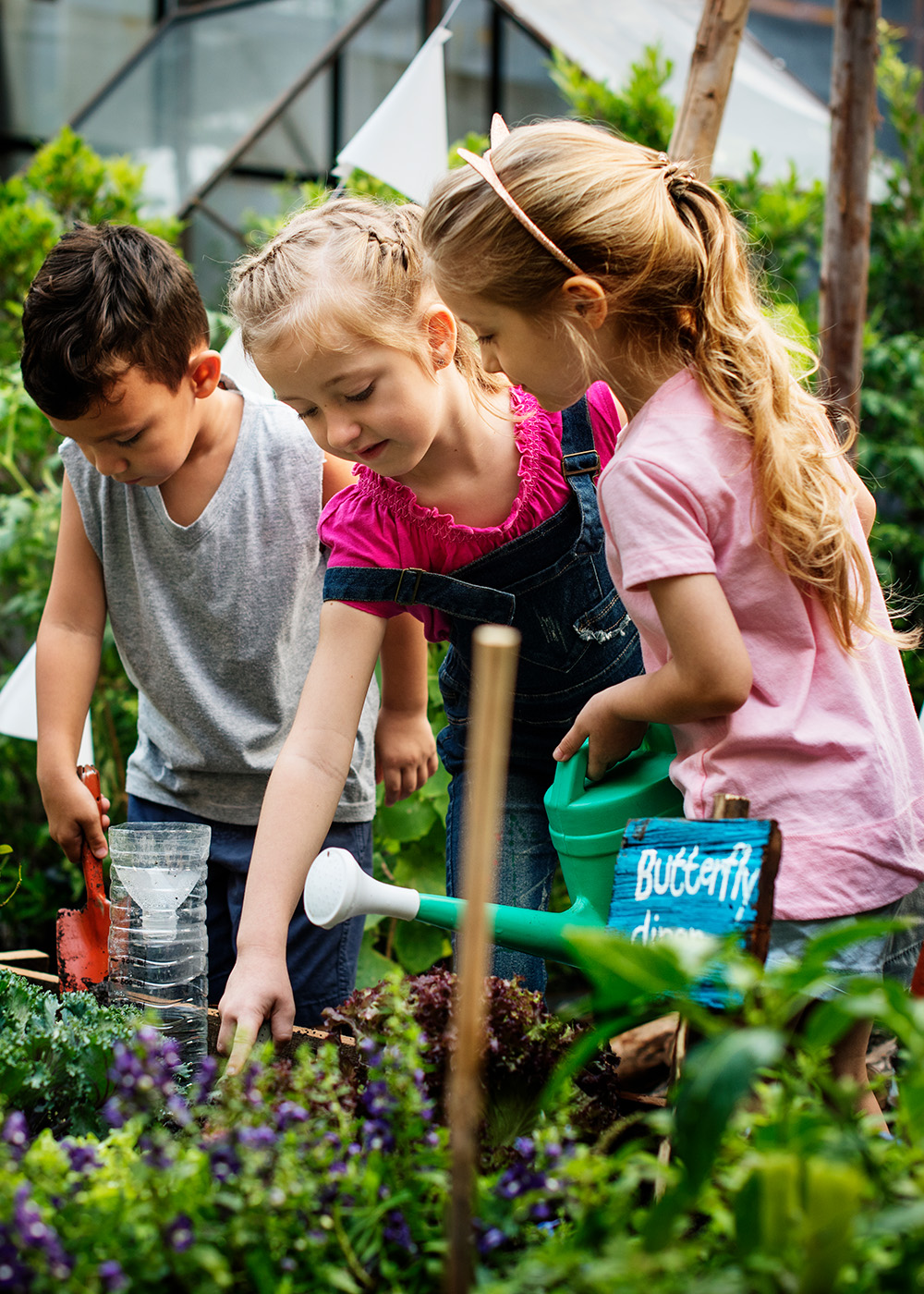 group-of-kindergarten-kids-learning-gardening-outd-2022-12-16-00-39-59-utc