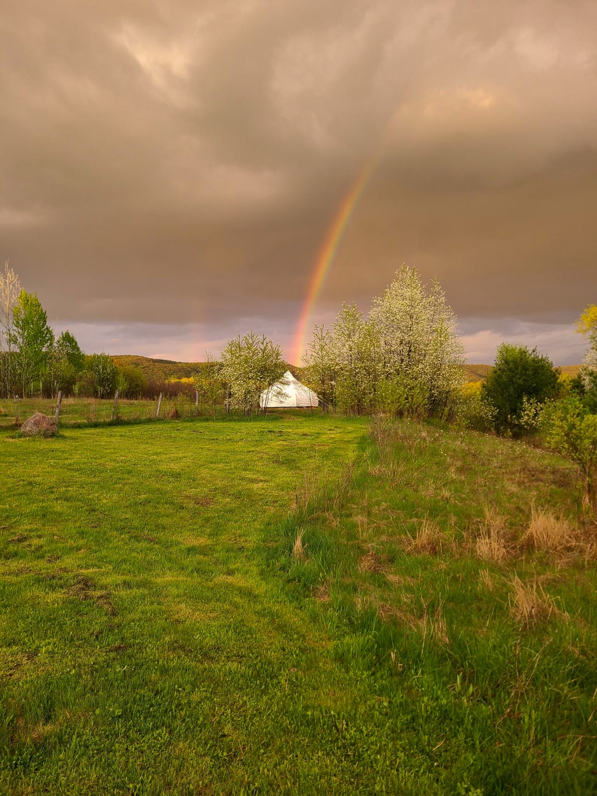 AG_House_of_Pisces_rainbow