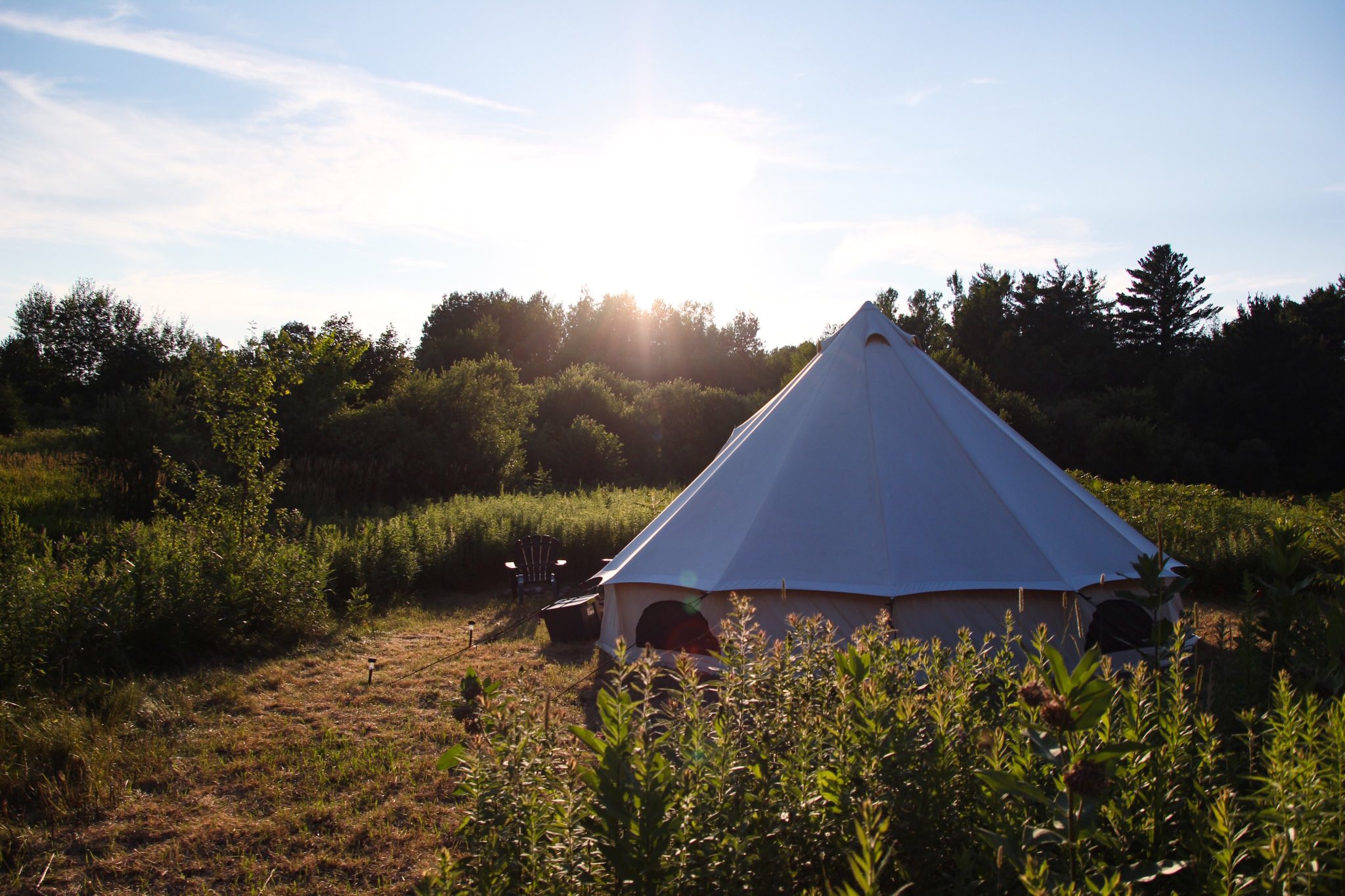 signal-2024-07-10-103721_002