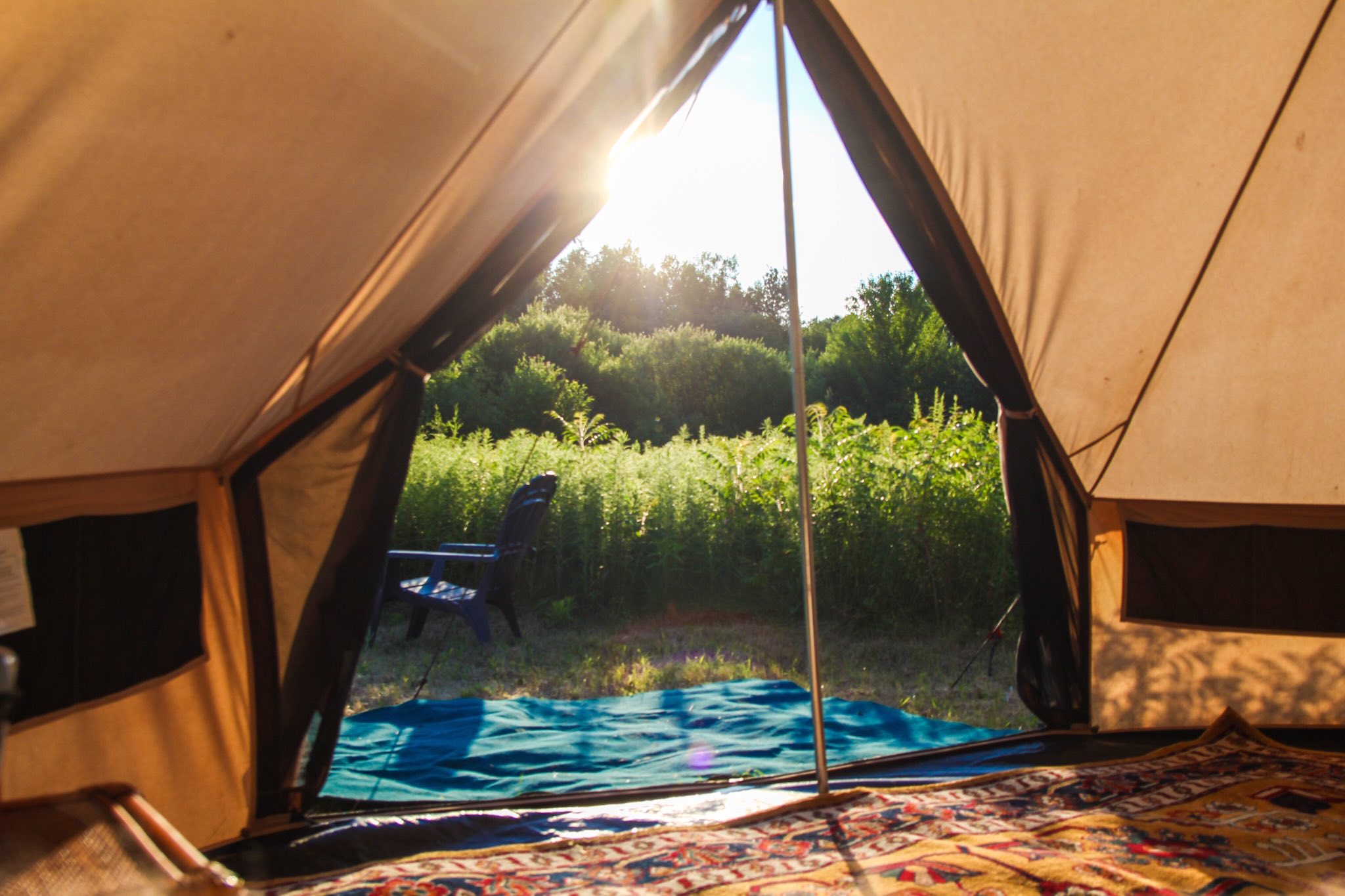 signal-2024-07-10-103721_004