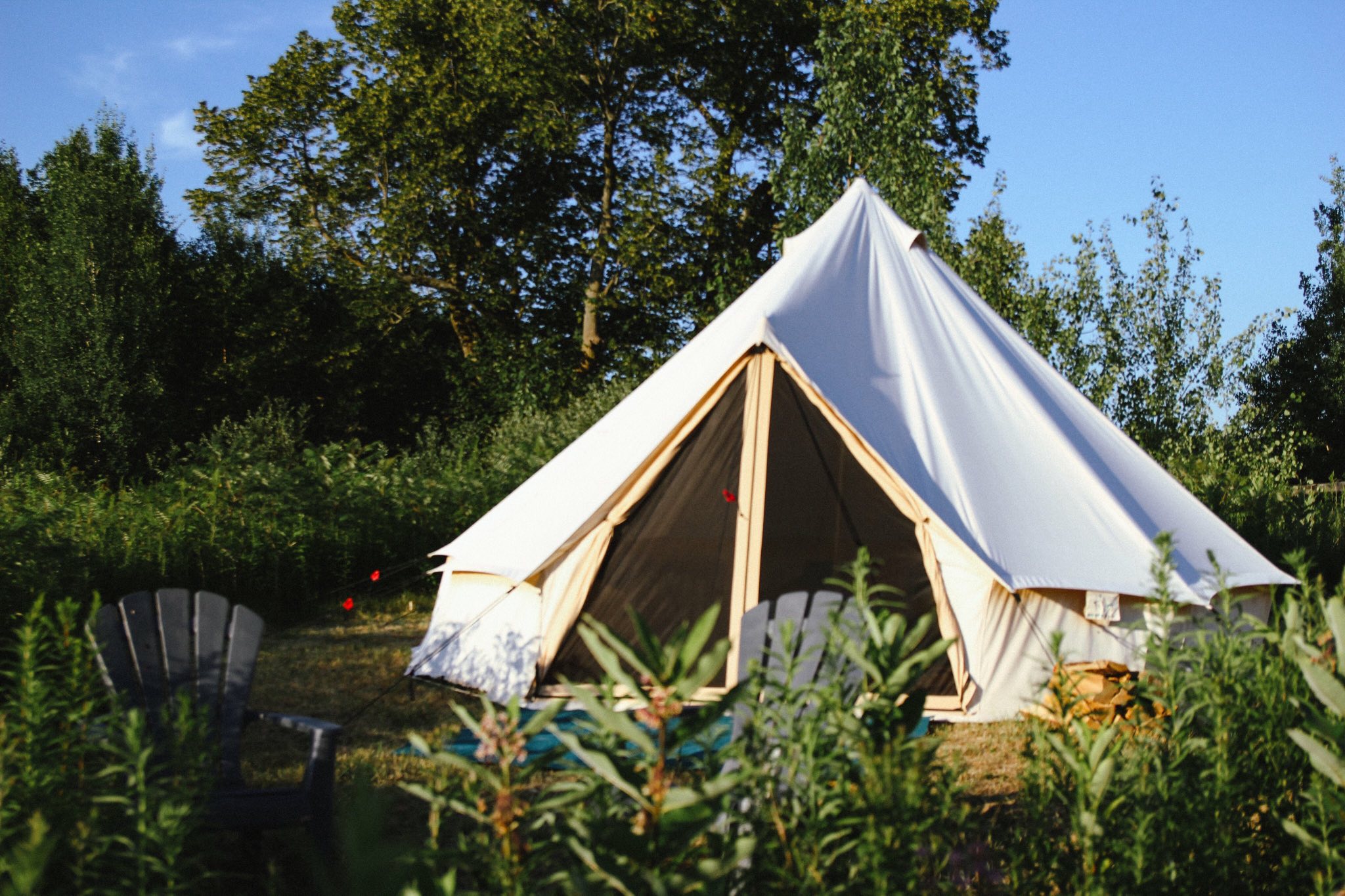 signal-2024-07-10-103721_007