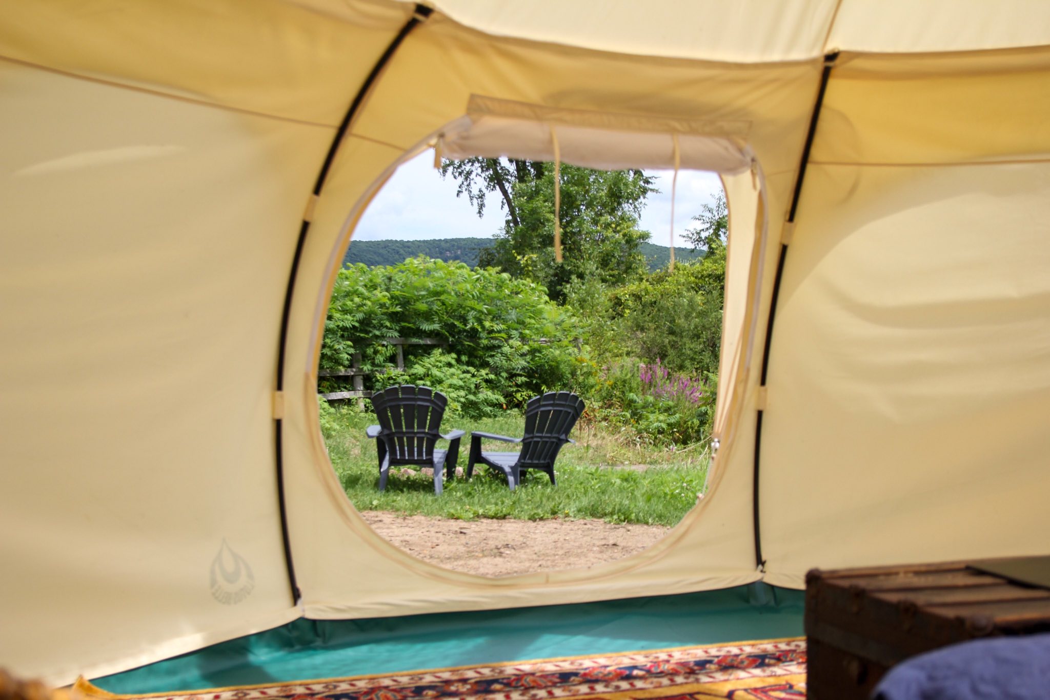 signal-2024-08-06-151527_005