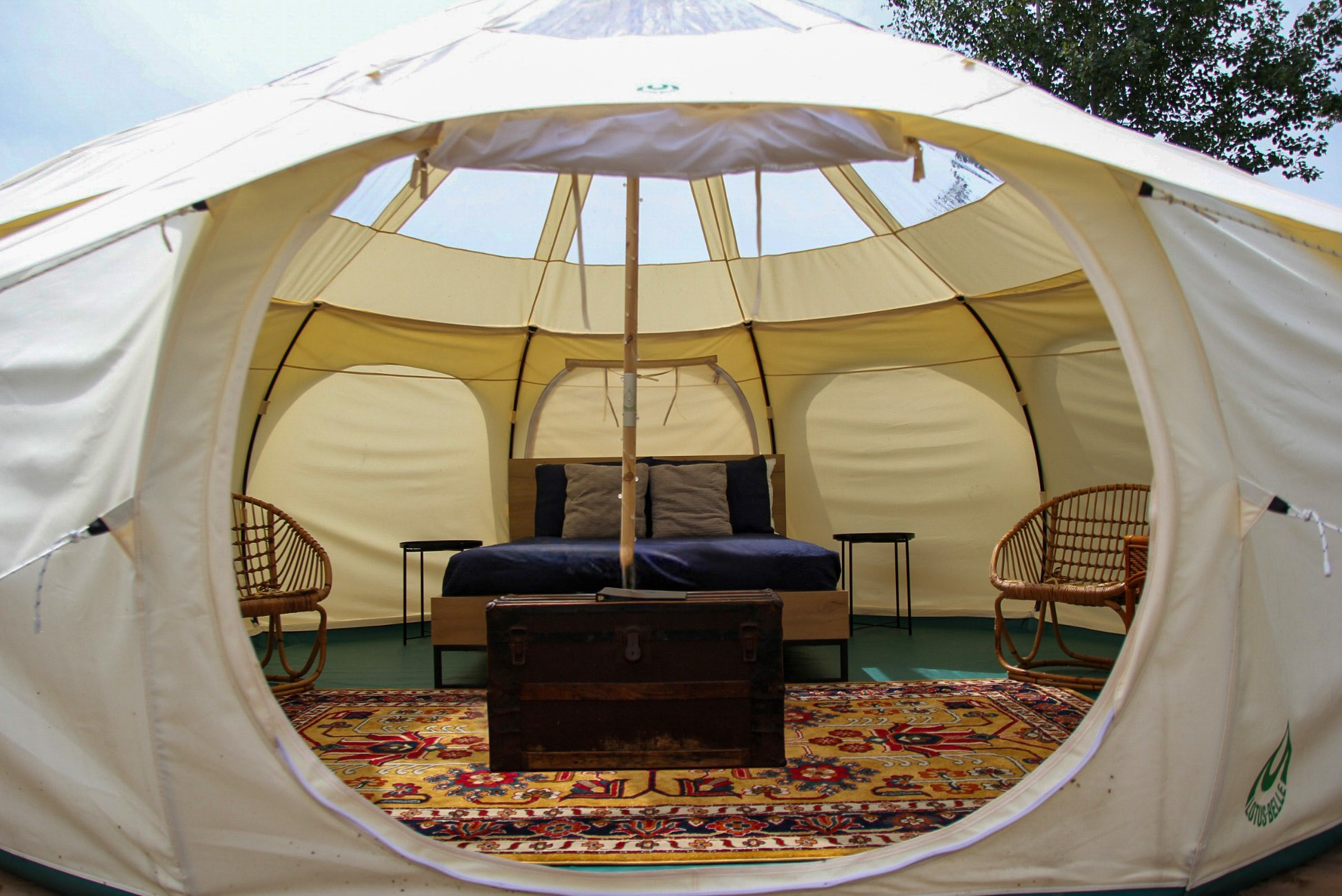 signal-2024-08-06-151527_007