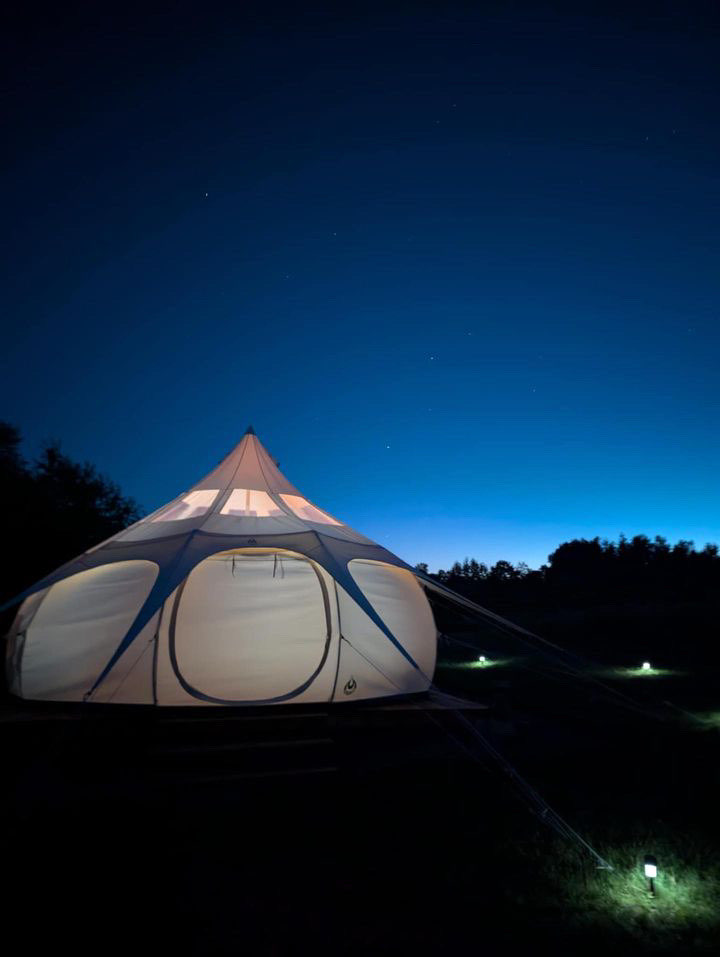 signal-2024-08-19-131111_002